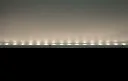 WallGrazer SFW20 Tunable White 24V DC 19W/m - TW