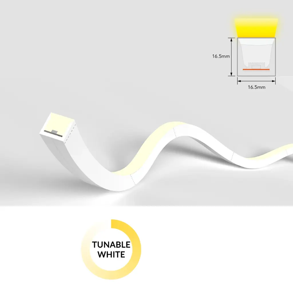 [SF16-24V-2835-120-DTW] NeonFlex SF16 Tunable White 24V 12W/m Dim to Warm
